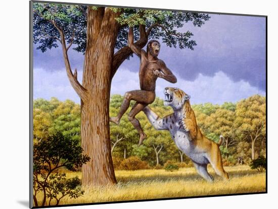 Scimitar Cat Attacking a Hominid-Mauricio Anton-Mounted Photographic Print