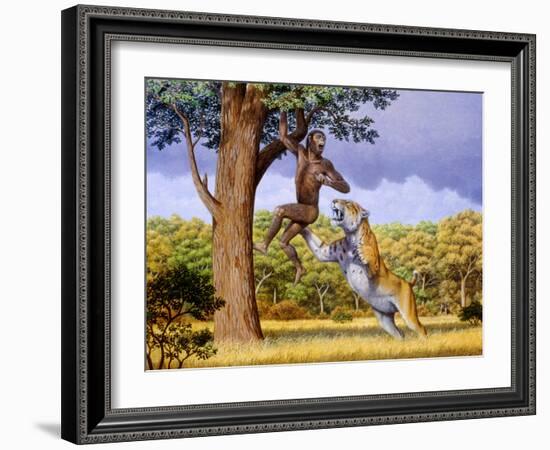 Scimitar Cat Attacking a Hominid-Mauricio Anton-Framed Photographic Print