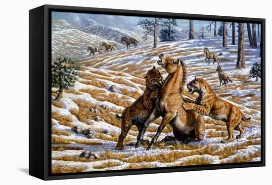 Scimitar Cats Attacking a Horse-Mauricio Anton-Framed Premier Image Canvas