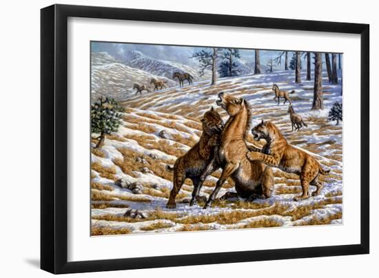 Scimitar Cats Attacking a Horse-Mauricio Anton-Framed Photographic Print