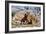 Scimitar Cats Attacking a Horse-Mauricio Anton-Framed Photographic Print