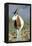 Scimitar-Horned Oryx-null-Framed Premier Image Canvas