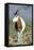 Scimitar-Horned Oryx-null-Framed Premier Image Canvas