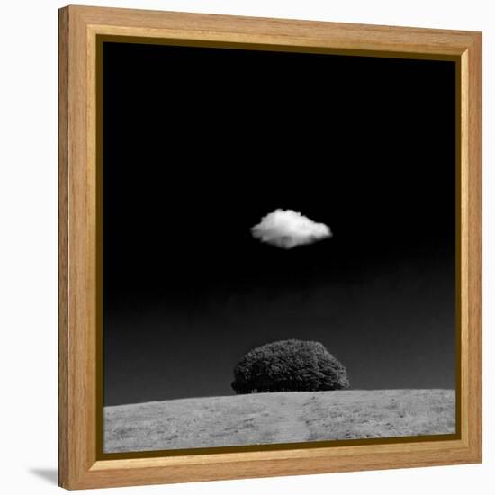 Scintilla Vii-Doug Chinnery-Framed Premier Image Canvas