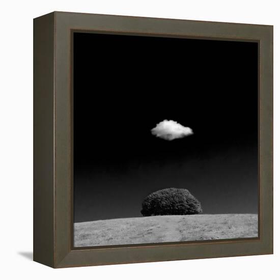 Scintilla Vii-Doug Chinnery-Framed Premier Image Canvas