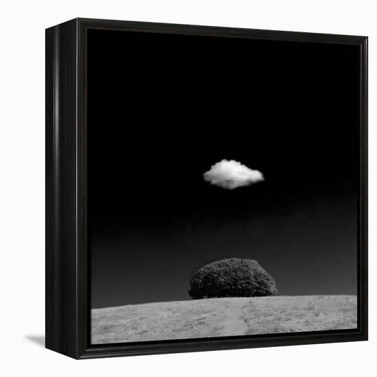 Scintilla Vii-Doug Chinnery-Framed Premier Image Canvas