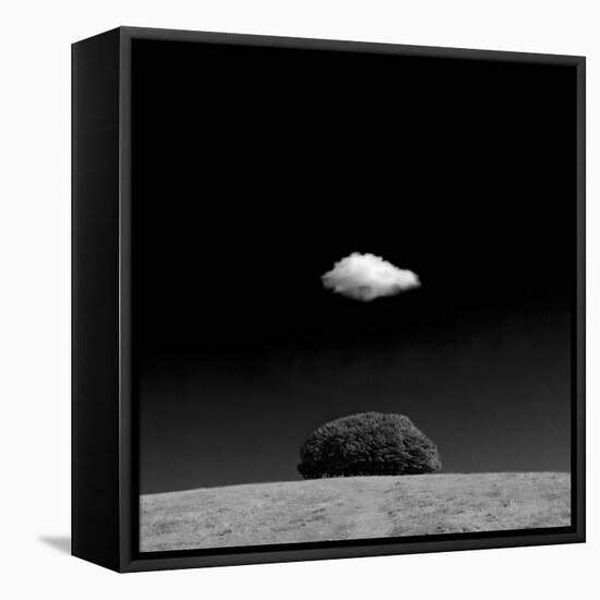 Scintilla Vii-Doug Chinnery-Framed Premier Image Canvas