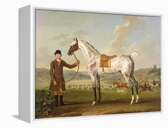 Scipio, Colonel Roche's Spotted Hunter, c.1750-Thomas Spencer-Framed Premier Image Canvas