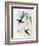 Scissor-Tailed Hummingbird (Hylonympha Macrocerca)-John Gould-Framed Giclee Print