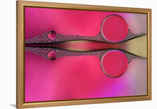 Scissor-Heidi Westum-Framed Premier Image Canvas