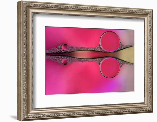 Scissor-Heidi Westum-Framed Photographic Print