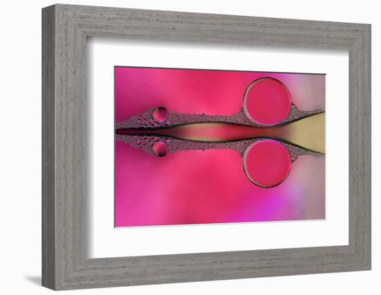 Scissor-Heidi Westum-Framed Photographic Print