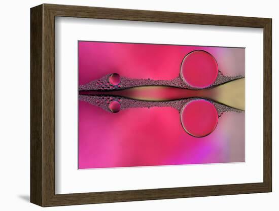 Scissor-Heidi Westum-Framed Photographic Print