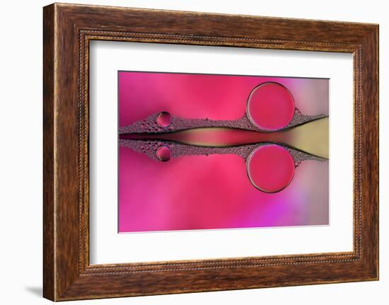 Scissor-Heidi Westum-Framed Photographic Print