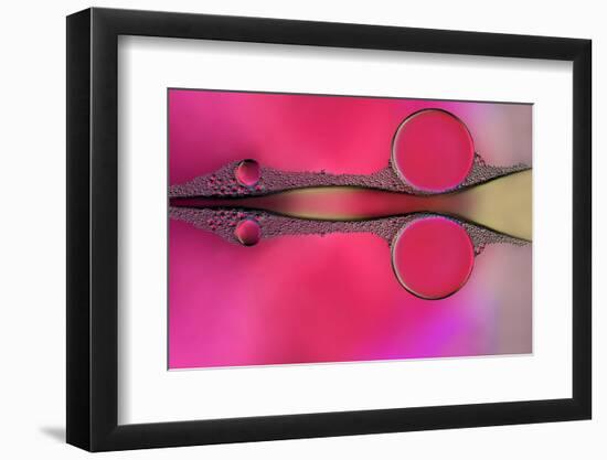 Scissor-Heidi Westum-Framed Photographic Print