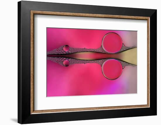 Scissor-Heidi Westum-Framed Photographic Print