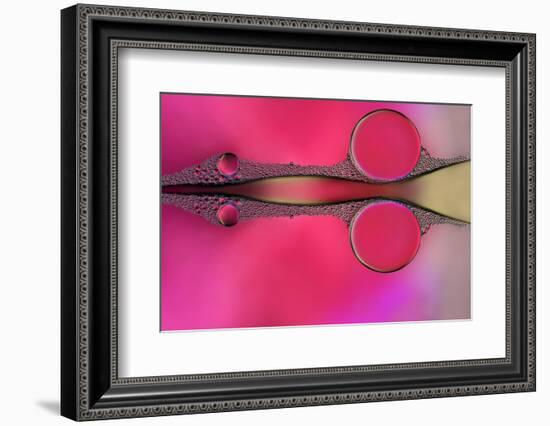 Scissor-Heidi Westum-Framed Photographic Print