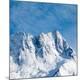 Premium Photographic Print