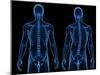 Scoliosis of the Spine, Artwork-SCIEPRO-Mounted Photographic Print