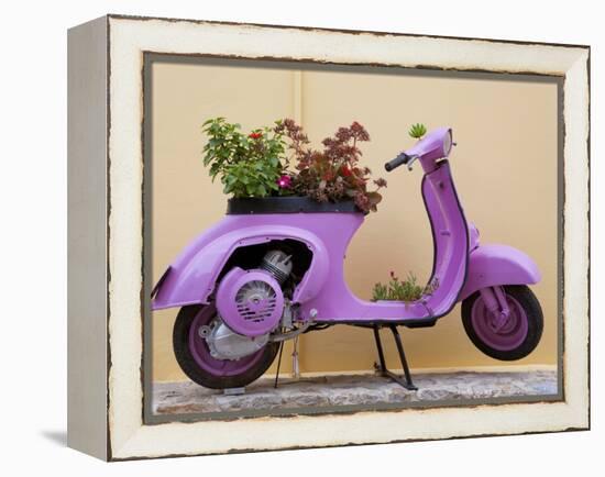 Scooter Flower Display, Symi Island, Dodecanese Islands, Greece-Peter Adams-Framed Premier Image Canvas