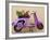 Scooter Flower Display, Symi Island, Dodecanese Islands, Greece-Peter Adams-Framed Photographic Print