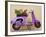 Scooter Flower Display, Symi Island, Dodecanese Islands, Greece-Peter Adams-Framed Photographic Print