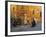 Scooter in Street, Rome, Italy-Demetrio Carrasco-Framed Photographic Print