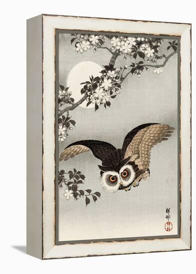 Scops Owl Flying under Cherry Blossoms-Koson Ohara-Framed Premier Image Canvas