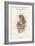 Scops Pennatus - Indian Scops Owl-John Gould-Framed Art Print