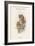 Scops Pennatus - Indian Scops Owl-John Gould-Framed Art Print