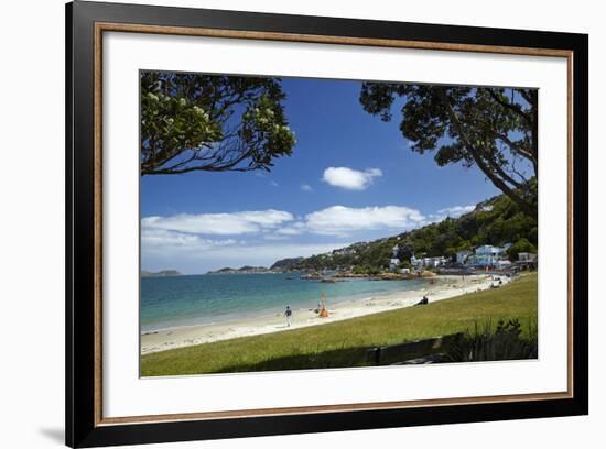 Scorching Bay and Wellington Harbour, Wellington, North Island, New Zealand-David Wall-Framed Photographic Print
