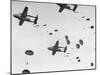 Scores of Paratroopers Dropping from C-82 "Flying Boxcar" and Landing on Level Ground-Frank Scherschel-Mounted Photographic Print
