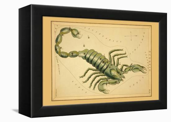 Scorpio-Aspin Jehosaphat-Framed Stretched Canvas