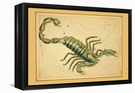 Scorpio-Aspin Jehosaphat-Framed Stretched Canvas