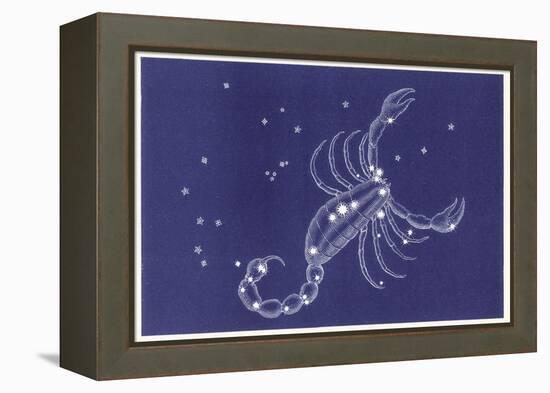 Scorpio-Roberta Norton-Framed Stretched Canvas