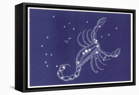 Scorpio-Roberta Norton-Framed Stretched Canvas