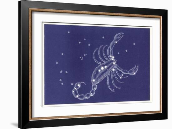 Scorpio-Roberta Norton-Framed Art Print