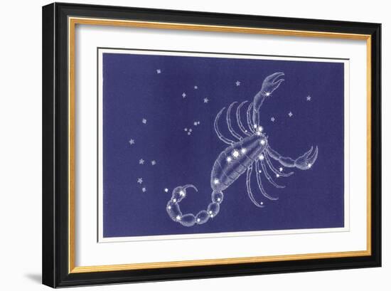 Scorpio-Roberta Norton-Framed Art Print