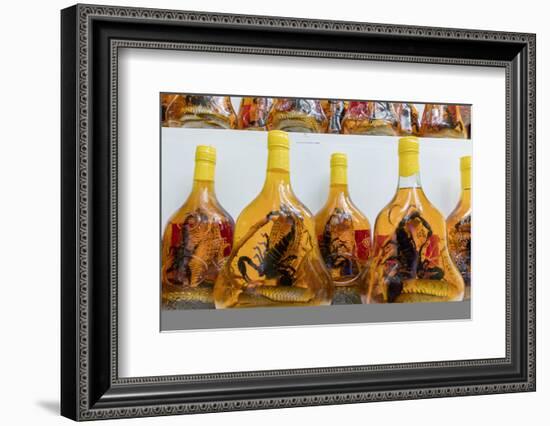 Scorpion and snake brandy for sale in Vietnam, Hanoi, Vietnam, Indochina, Southeast Asia, Asia-Alex Robinson-Framed Photographic Print