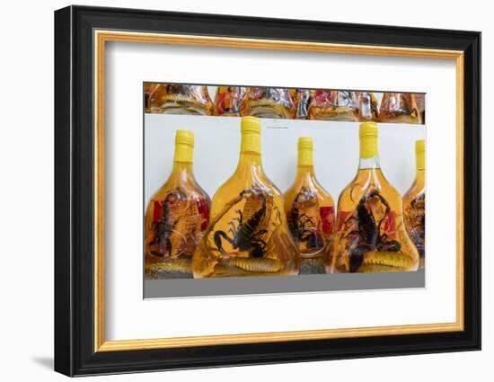 Scorpion and snake brandy for sale in Vietnam, Hanoi, Vietnam, Indochina, Southeast Asia, Asia-Alex Robinson-Framed Photographic Print