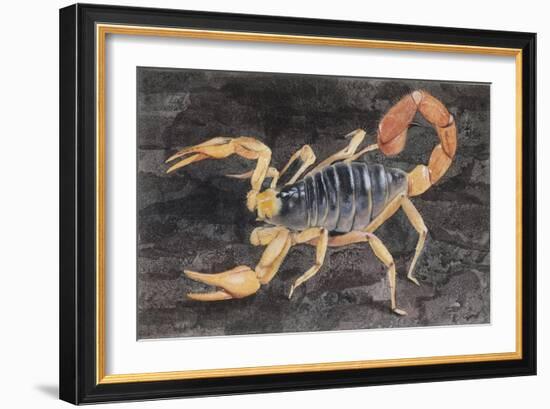 Scorpion (Scorpiones)-null-Framed Giclee Print