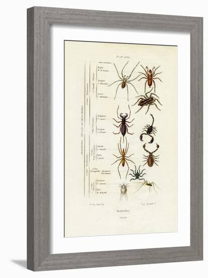 Scorpions, 1833-39-null-Framed Giclee Print