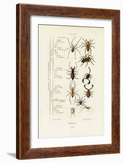 Scorpions, 1833-39-null-Framed Giclee Print