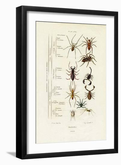 Scorpions, 1833-39-null-Framed Giclee Print