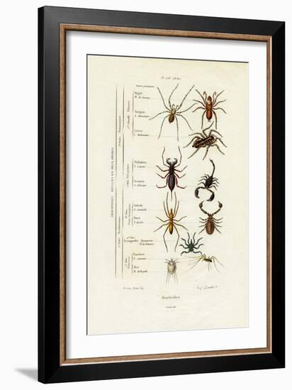 Scorpions, 1833-39-null-Framed Giclee Print