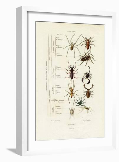 Scorpions, 1833-39-null-Framed Giclee Print