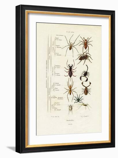 Scorpions, 1833-39-null-Framed Giclee Print