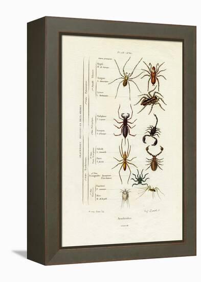 Scorpions, 1833-39-null-Framed Premier Image Canvas