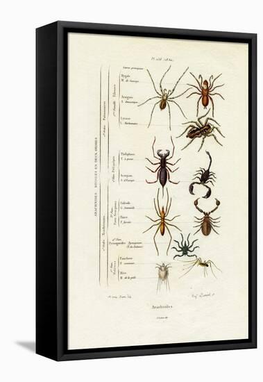 Scorpions, 1833-39-null-Framed Premier Image Canvas