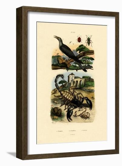 Scorpions, 1833-39-null-Framed Giclee Print